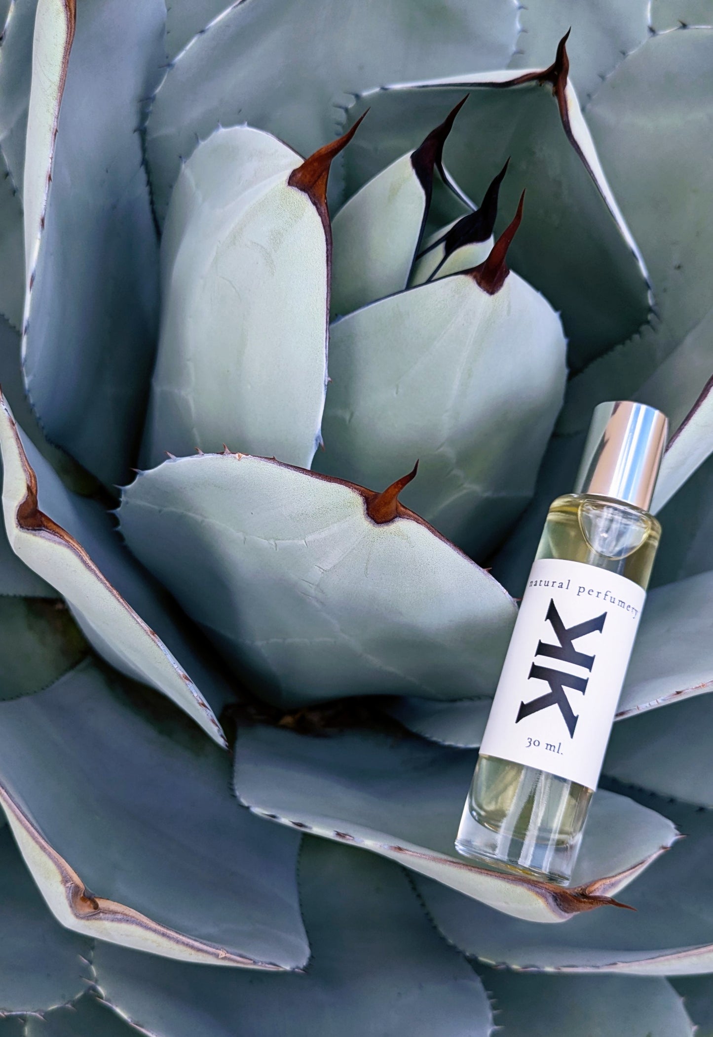 SPIRITUAL + WELLNESS + REFLECTION