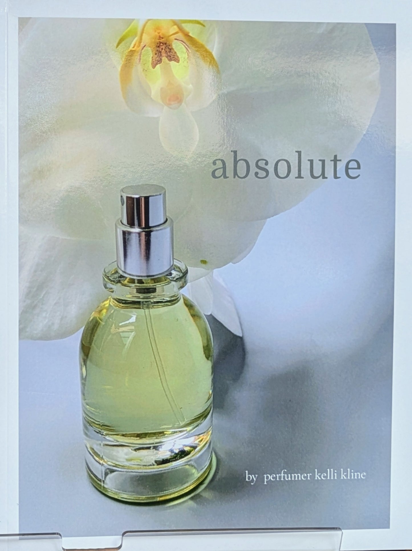 ABSOLUTE Magazine