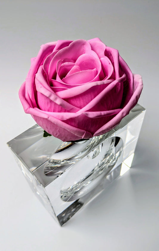 DESIRE Eau de Parfum